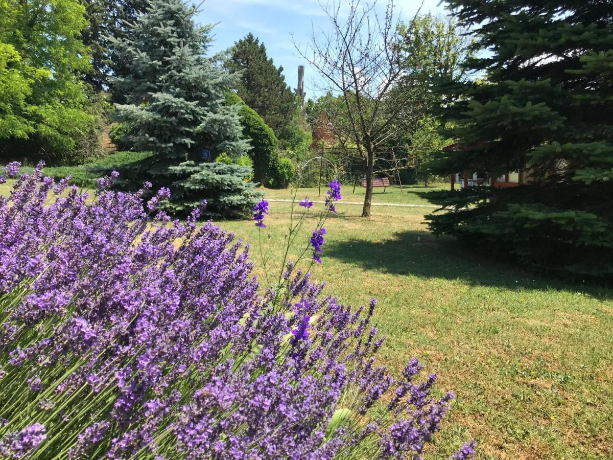 BalatongyörökBalaton Gardenアパートメント エクステリア 写真